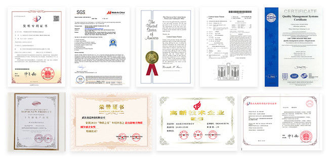 CHINA WUHAN GLOBAL SENSOR TECHNOLOGY CO., LTD. Perfil de la compañía