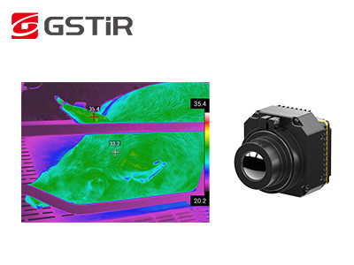 Infrared Camera Core with Fixed Focus Athermal 19mm/24mm Lens