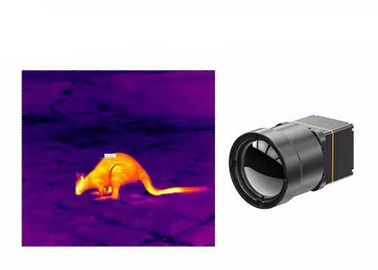640x512 12μm Infrared Camera Core With 25mm Lens for Wildlife Observation