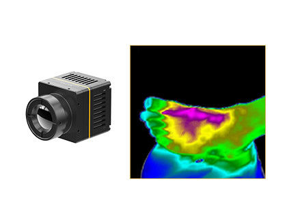 Atención sanitaria termal sin enfriar del módulo 384x288 el 17μM For Thermographic Medical