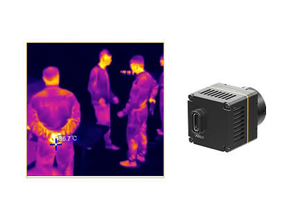 384x288 sin enfriar el 17μM Thermal Imaging Camera para los usos médicos