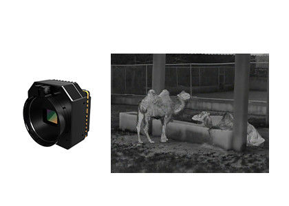 Modulo infrarrojo sin enfriar de cámara de seguridad térmica de alta sensibilidad