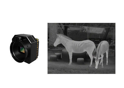 Detector de infrarrojos de 67 g Rango espectral de 8 μm-14 μm