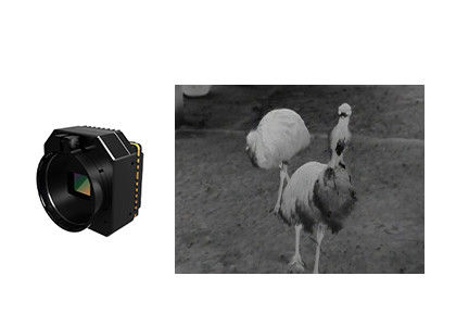 Módulo de cámara de seguridad térmica infrarroja sin enfriar con múltiples lentes